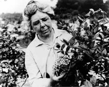 Elizabeth Coleman White